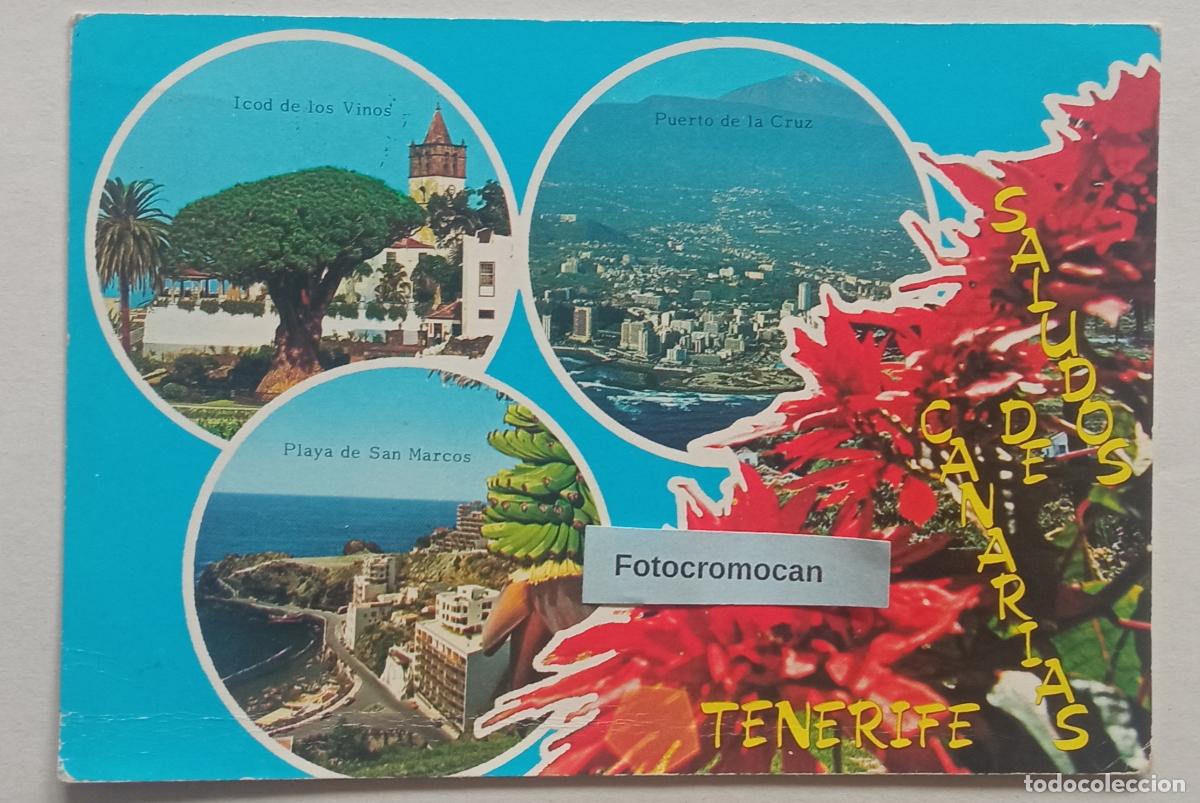Postkarten: SALUDOS DE CANARIAS. TENERIFE. GARC&Iacute;A CORREA.TE 4. EURIMPEX