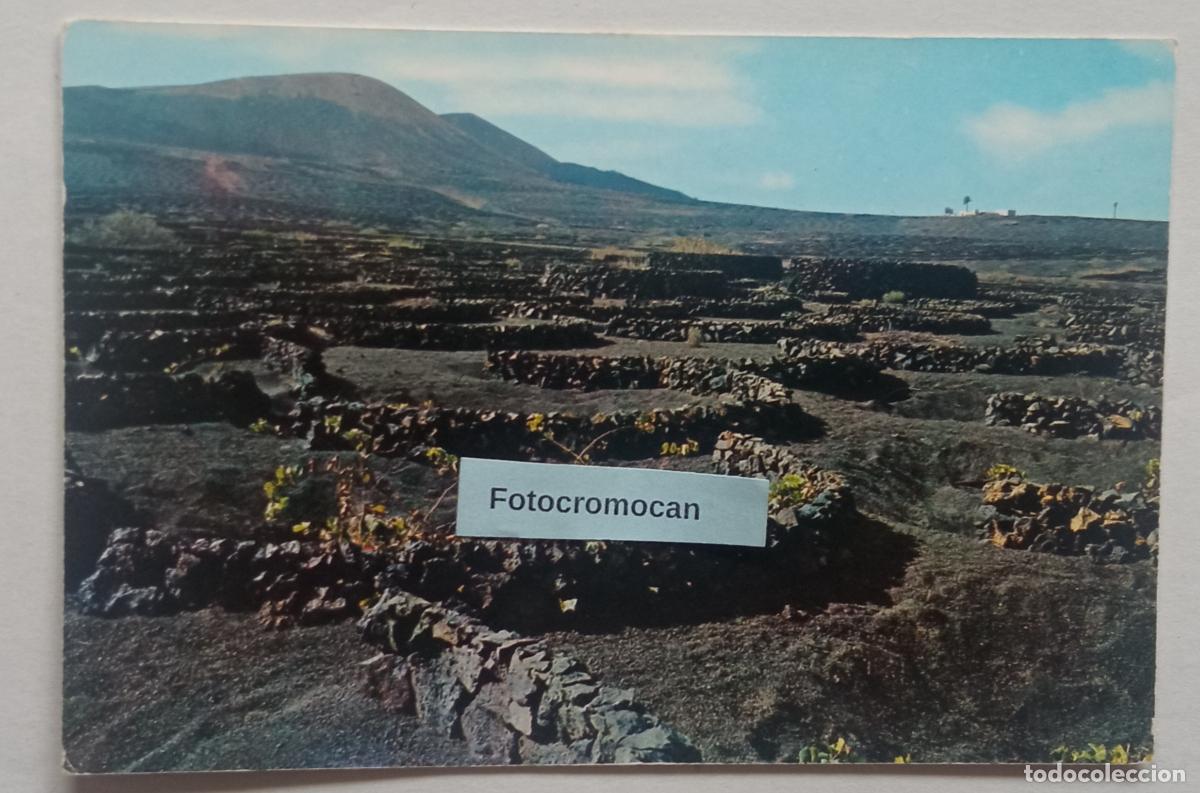 Postales: LA GERIA. LANZAROTE. COLECCI&Oacute;N LAS AFORTUNADAS. N&ordm; 20039