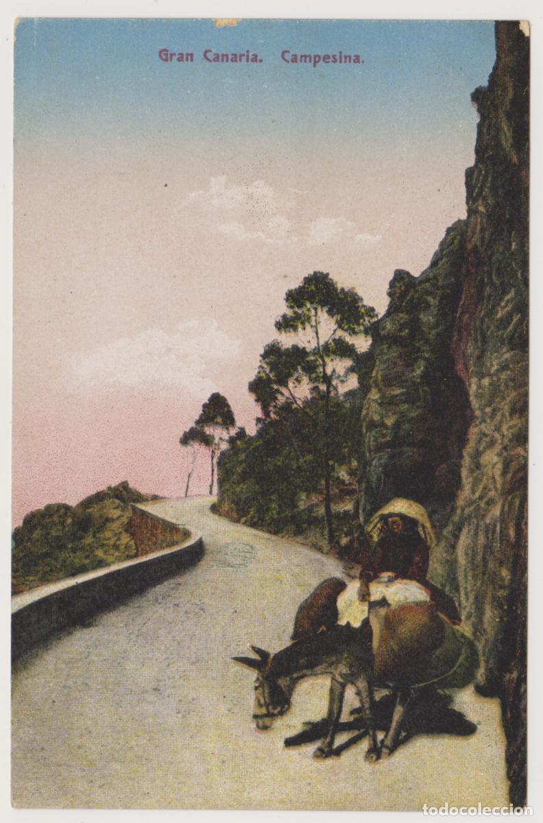 Postales: TARJETA POSTAL - GRAN CANARIA - CAMPESINA