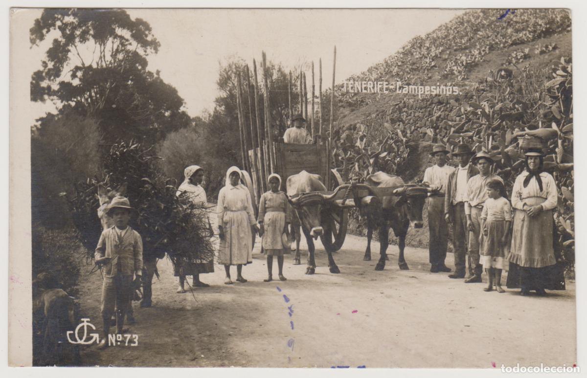 Postales: TARJETA POSTAL - TENERIFE - CAMPESINOS - N&ordm; 73 - JG