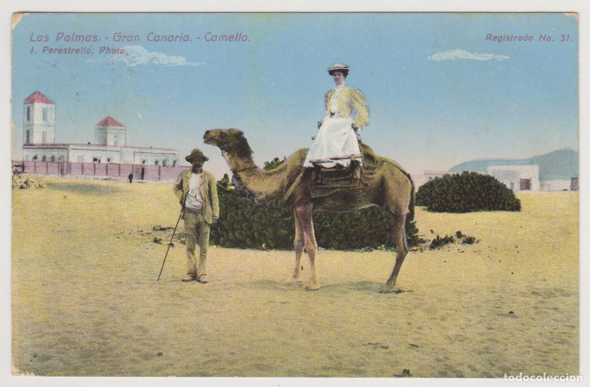 Postales: TARJETA POSTAL - GRAN CANARIA - LAS PALMAS - CAMELLO - J. PERESTRELLO