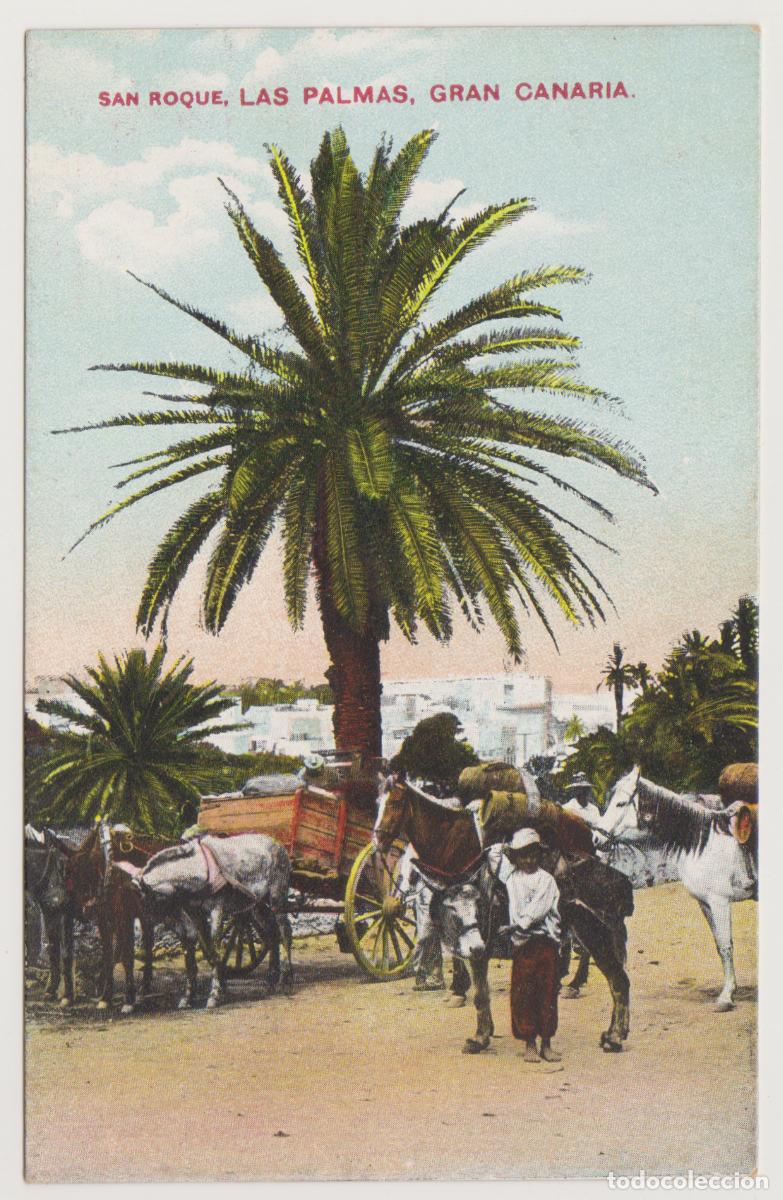 Postales: TARJETA POSTAL - GRAN CANARIA - LAS PALMAS - SAN ROQUE