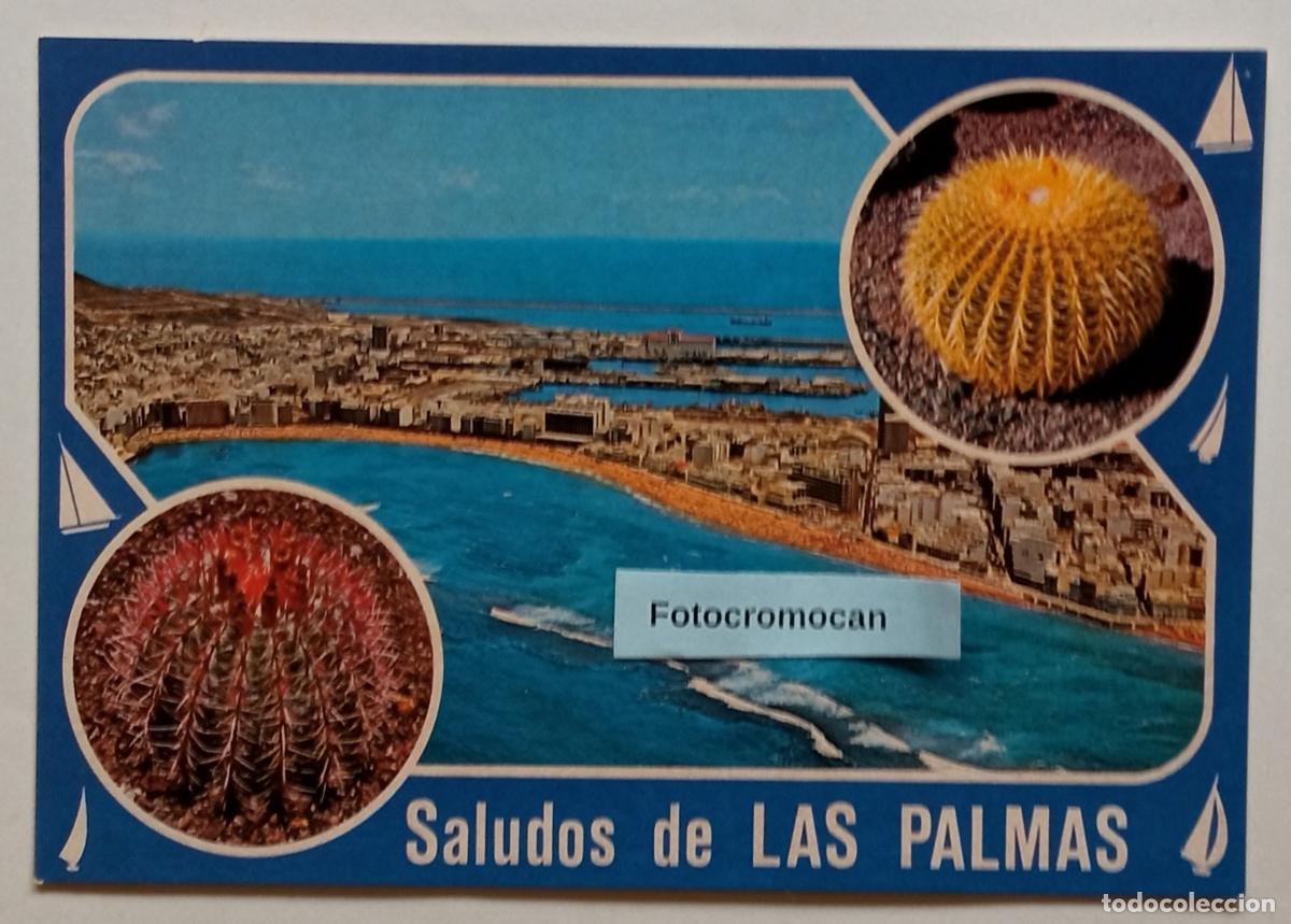Postales: SOUVENIR DE LAS PALMAS DE GRAN CANARIA. COLECCI&Oacute;N HOLIDAYS. N&ordm; 473