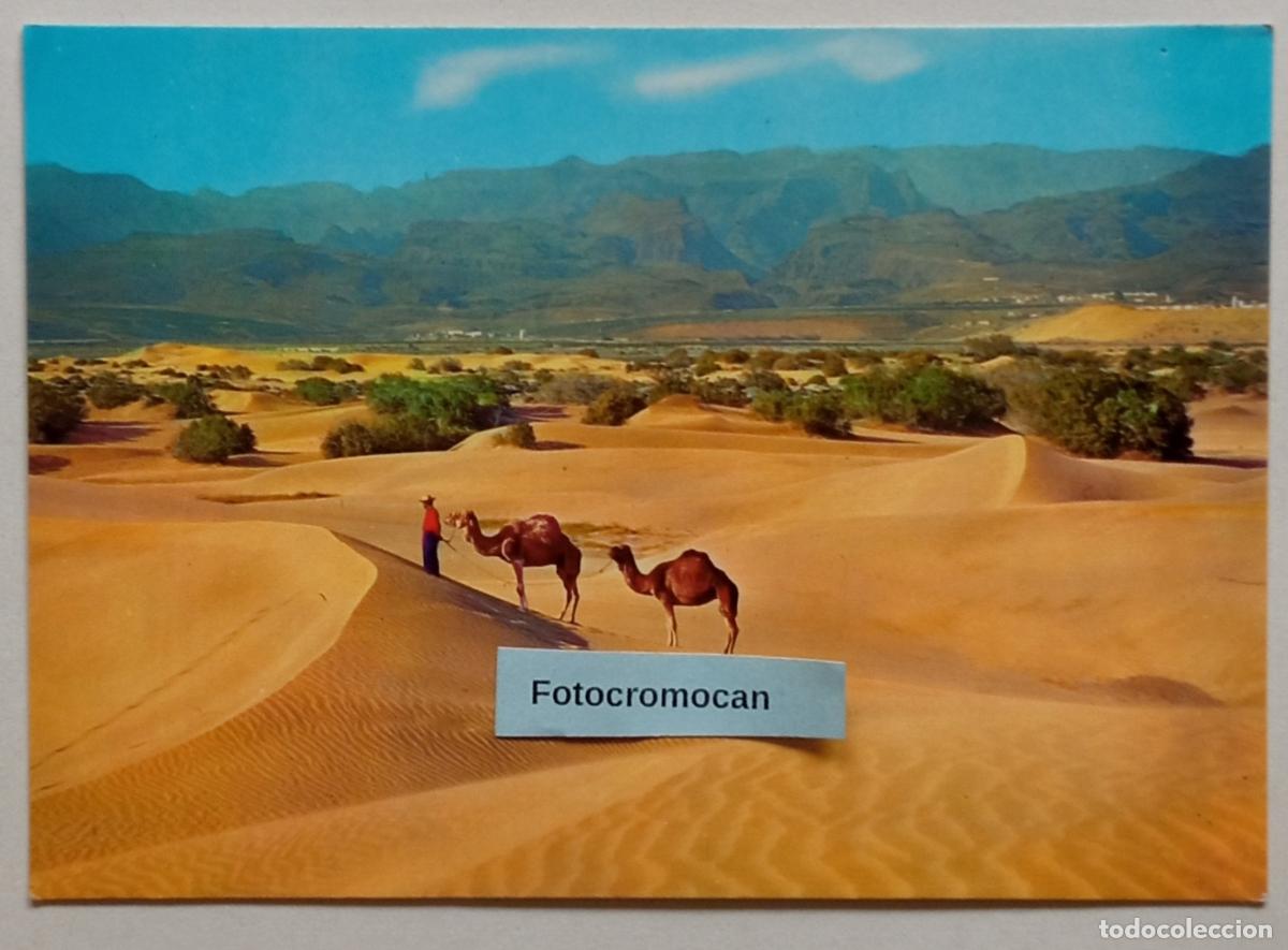 Postales: GRAN CANARIA. RECUERDO DE MASPALOMAS. ED. GLOBAL TRADERS. N&ordm;1055