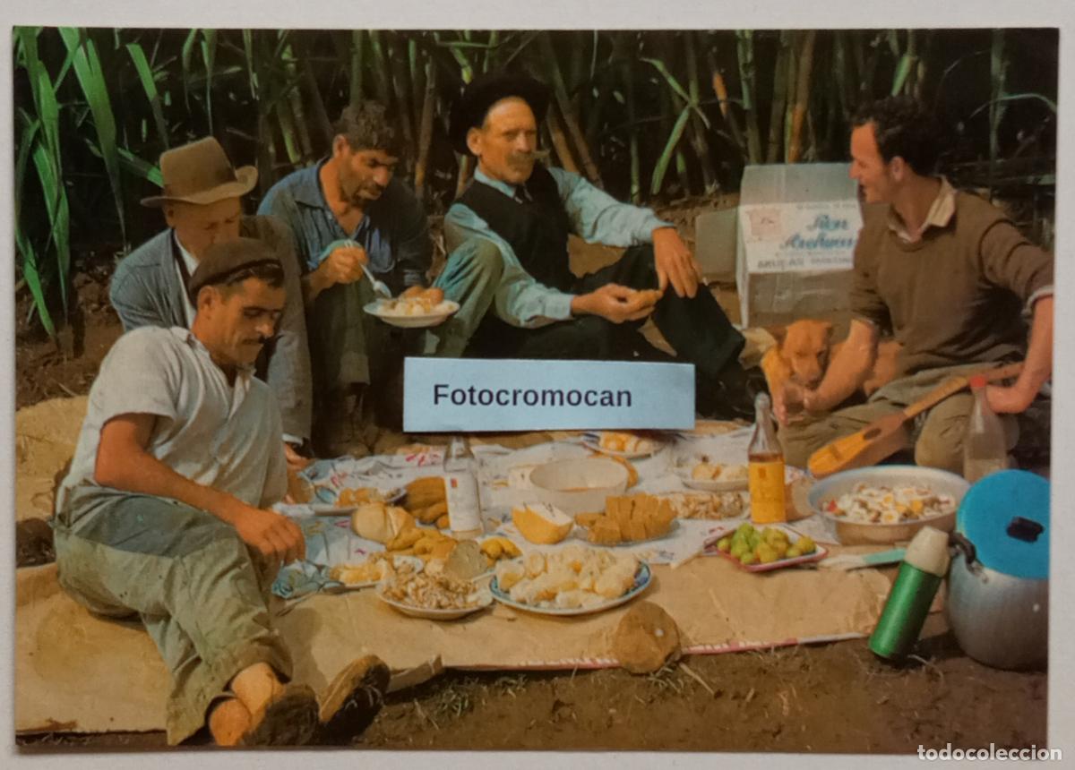 Postales: ISLAS CANARIAS. UN SANCOCHO. COMIDA T&Iacute;PICA. ED. LITOGRAF&Iacute;A SAAVEDRA