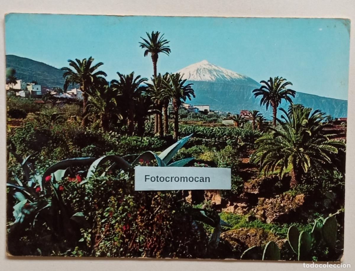 Postales: TENERIFE. PANOR&Aacute;MICA CON EL TEIDE AL FONDO. ED. RO-FOTO. N&ordm;475