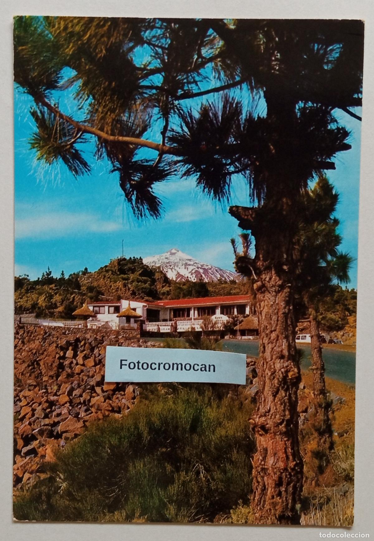 Postales: TENERIFE. EL PORTILLO. ED. GASTEIZ. N&ordm;2554