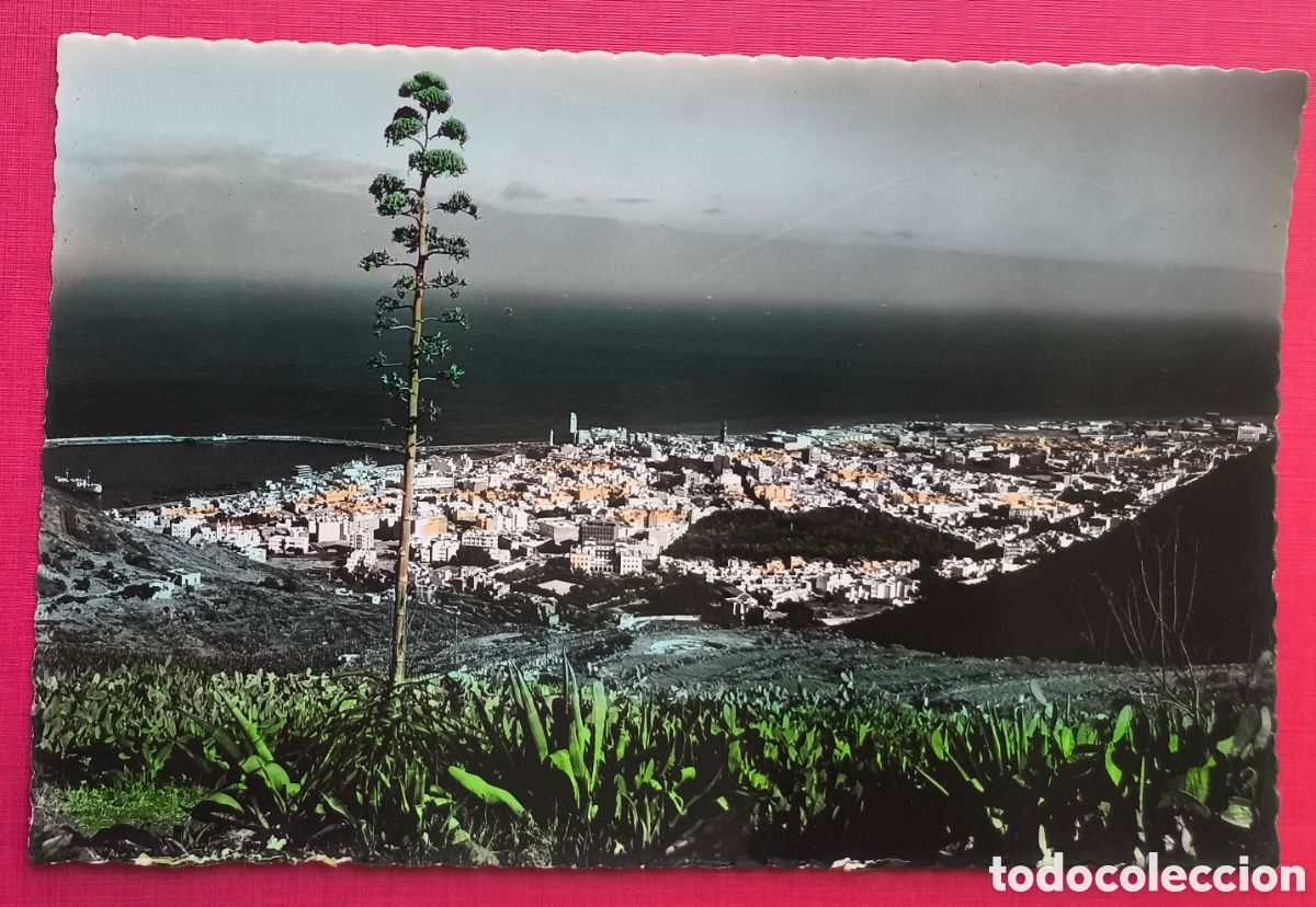 Postales: SANTA CRUZ DE TENERIFE POSTAL FOTOGR&Aacute;FICA COLOREADA CANARIAS C. 1955