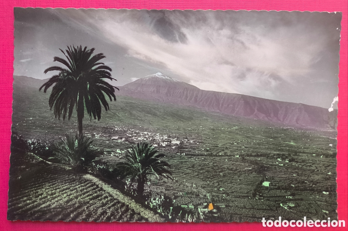 Postales: SANTA CRUZ DE TENERIFE POSTAL FOTOGR&Aacute;FICA COLOREADA CANARIAS C. 1955