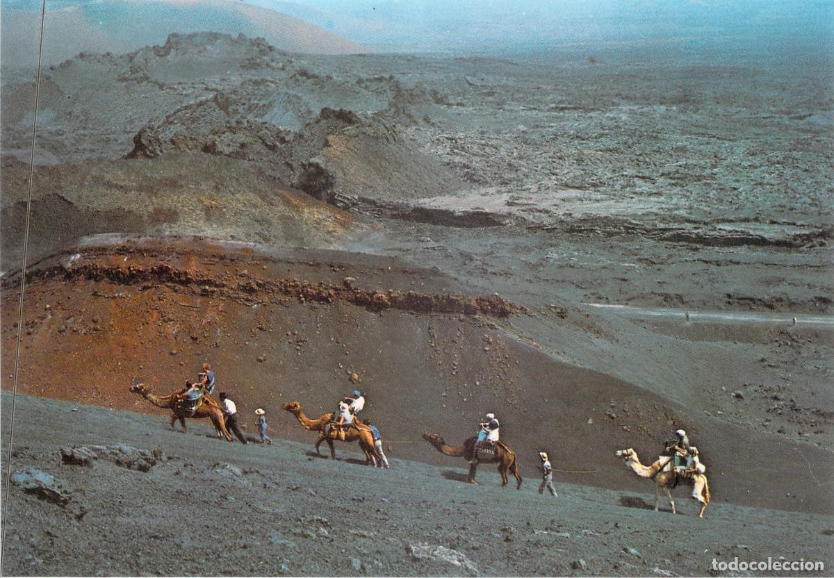 Postales: Postal de Lanzarote: Subida a las Monta&ntilde;as del Fuego en Camello