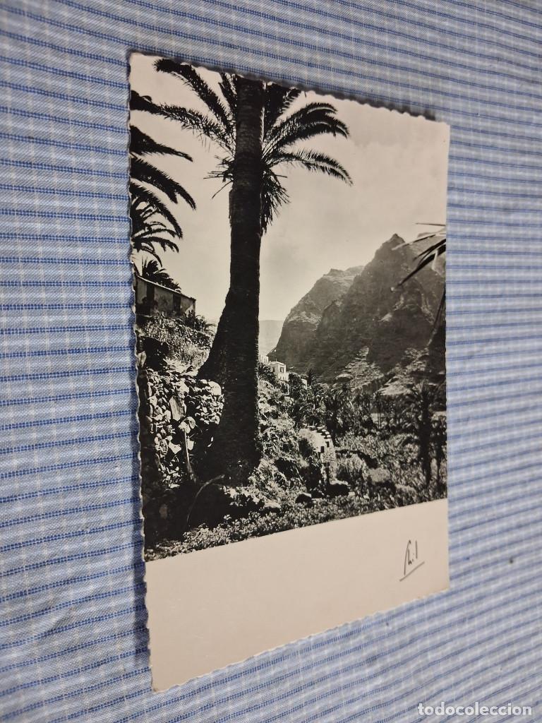 Postales: Postal antigua Canarias. Contraluz en un barranco. Philippe Mart&iacute;n 234