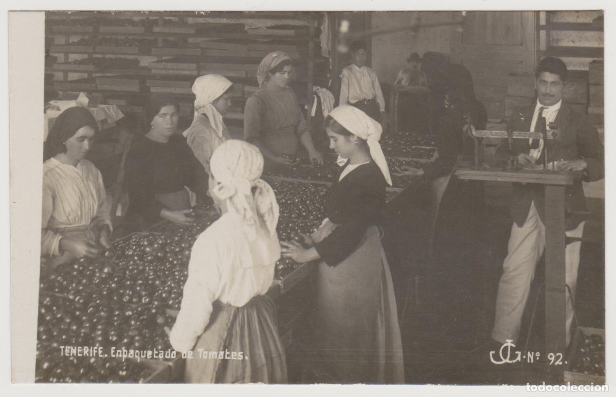 Postales: TARJETA POSTAL - TENERIFE - EMPAQUETADO DE TOMATES - N&ordm; 92 - JG