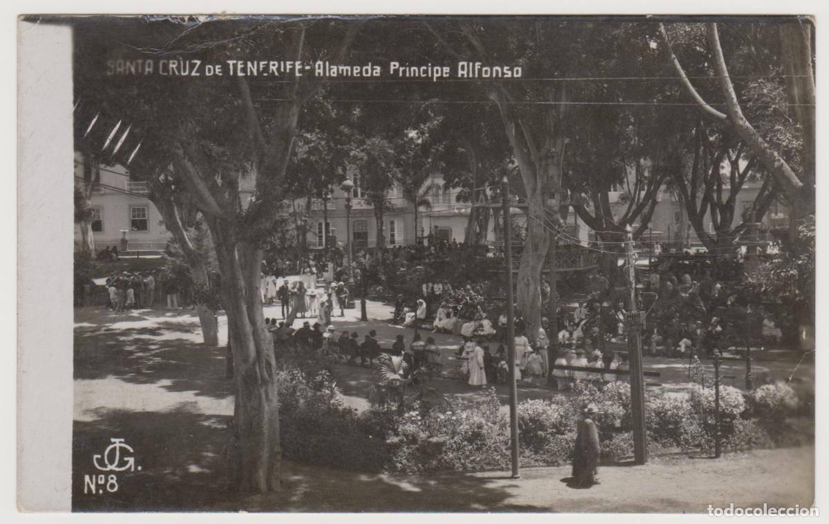 Postales: TARJETA POSTAL - SANTA CRUZ DE TENERIFE - ALAMEDA PRINCIPE ALFONSO - N&ordm; 8 - JG
