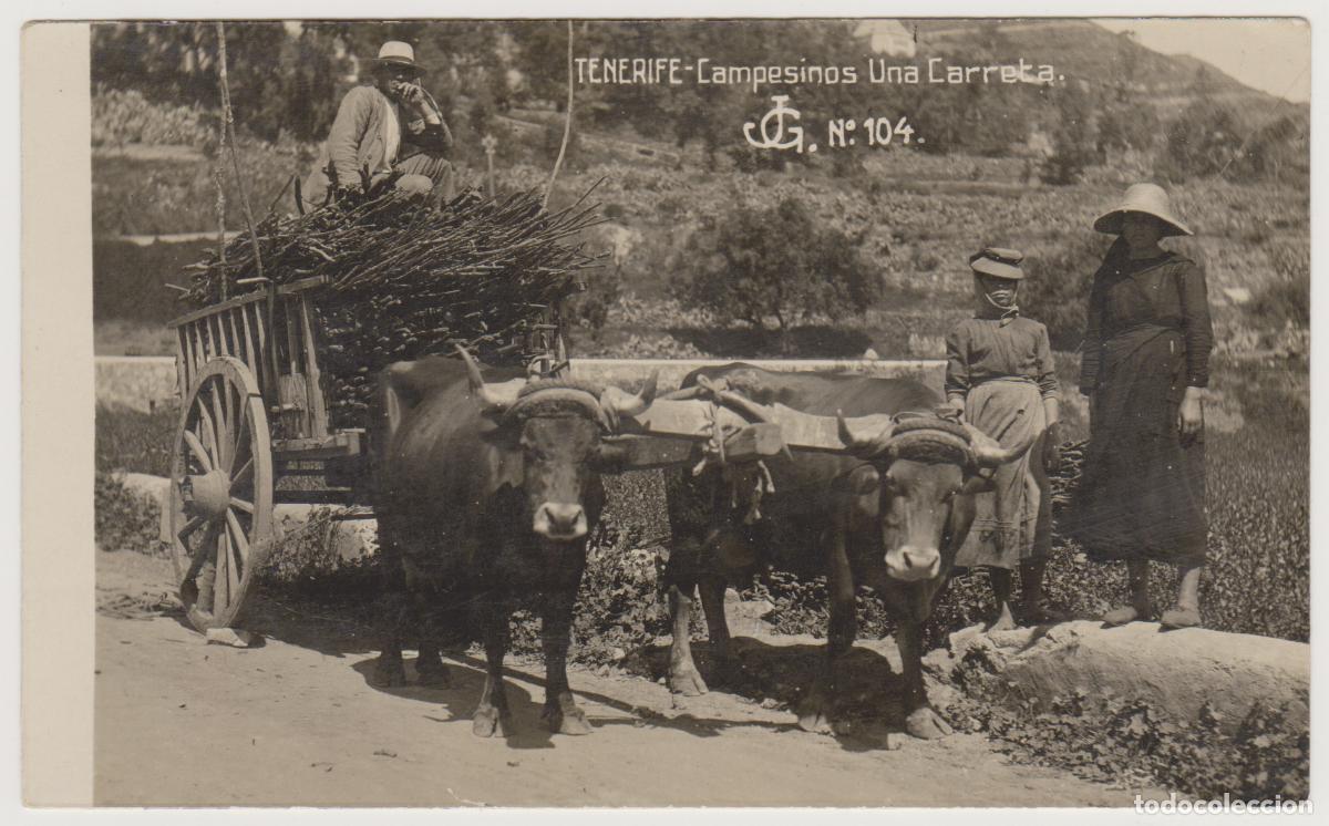 Postales: TARJETA POSTAL - TENERIFE - CAMPESINOS - UNA CARRETA - N&ordm; 104 - JG