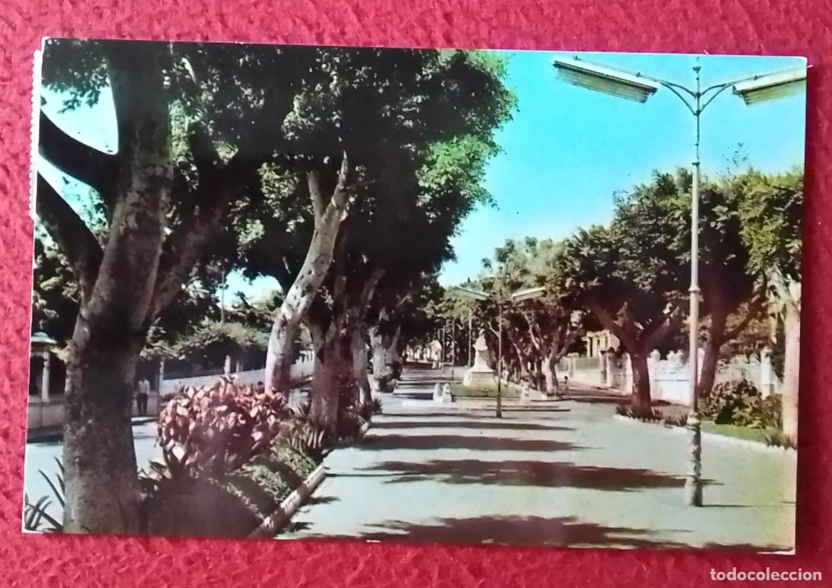 Postales: POSTAL POST CARD CARTE POSTALE SANTA CRUZ DE TENERIFE AVENIDA DEL GENERAL&Iacute;SIMO FRANCO CANARY ISLANDS