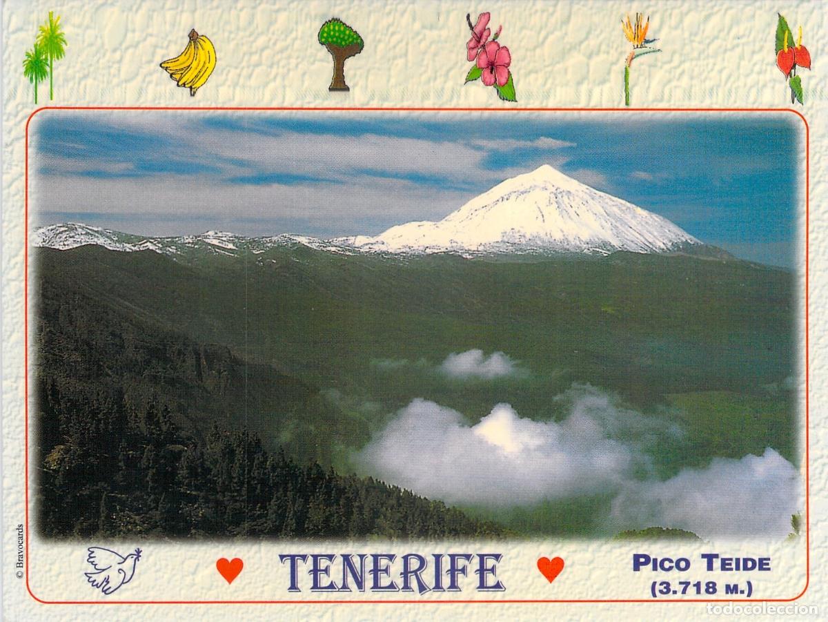 Postales: Postal de Tenerife con Vista del Pico Teide Nevado