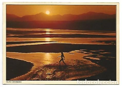 Postales: PLAYA DE LOS POCILLOS.- LANZAROTE