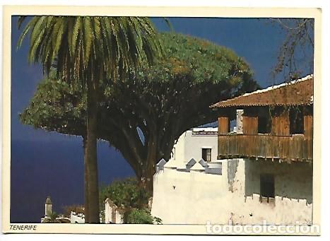 Postales: ICOD - EL DRAGO.- TENERIFE - Foto 1