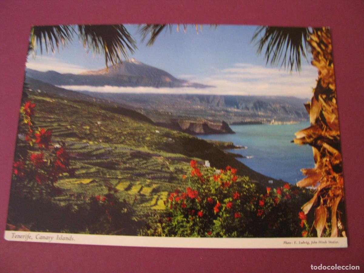 Postales: POSTAL DE TENERIFE. JOHN HINDE. ESCRITA 1968