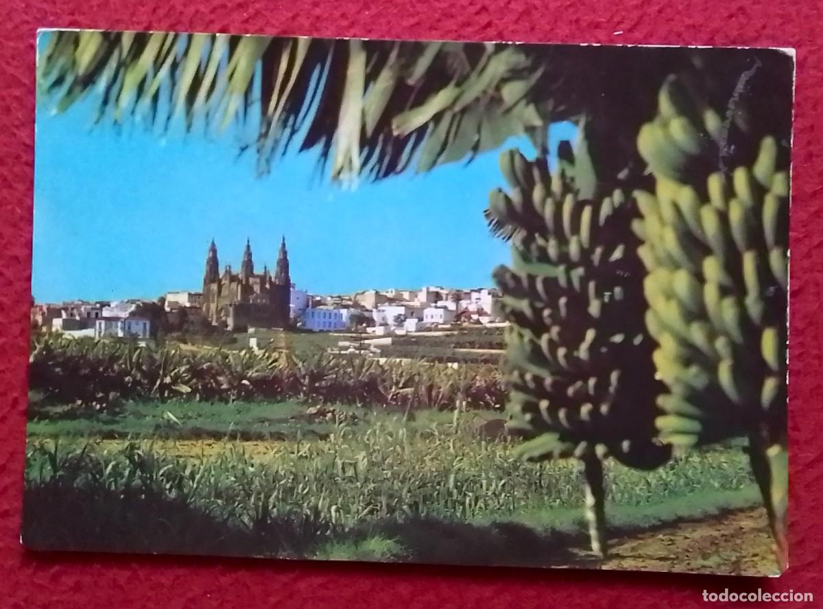 Postales: POSTAL CARTE POSTALE POST CARD CANARY ISLANDS LAS PALMAS DE GRAN CANARIA ARUCAS PLATANERAS SPAIN...