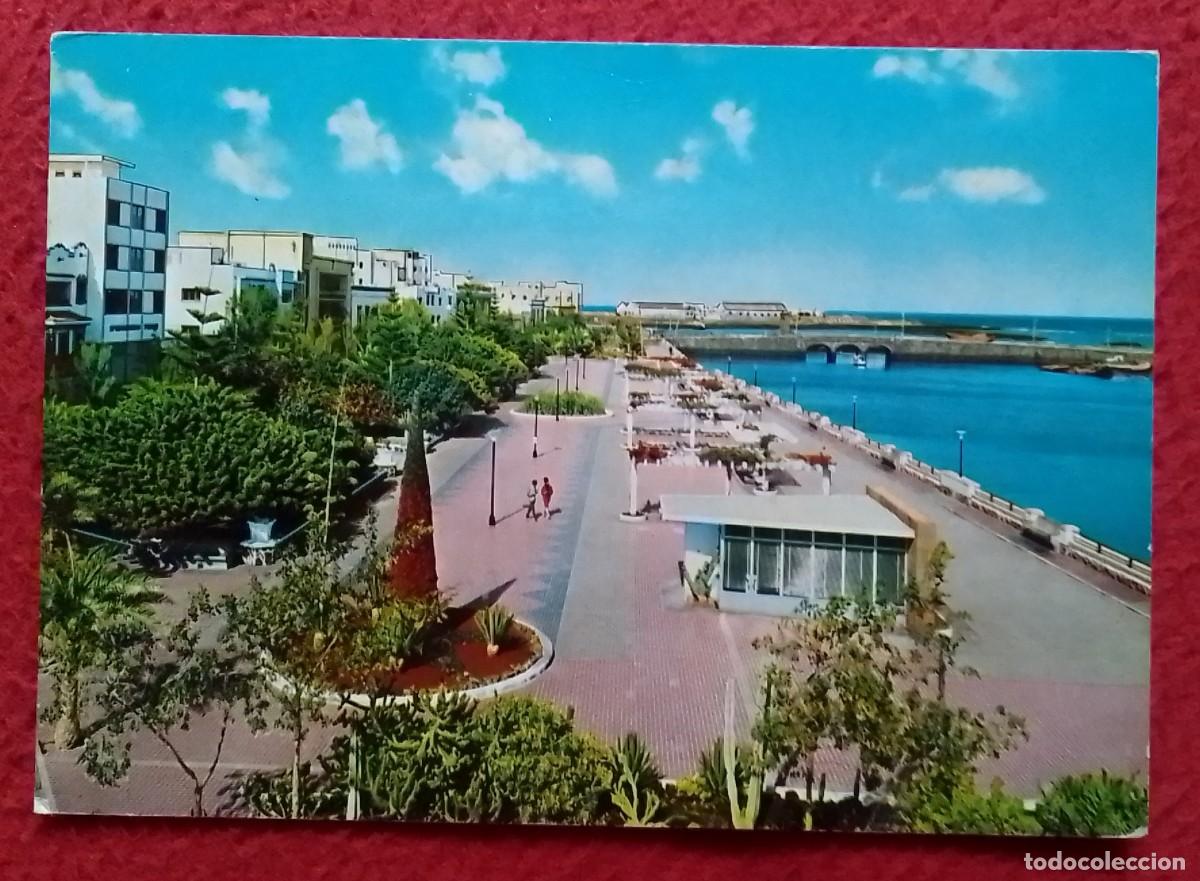 Postales: POSTAL CARTE POSTALE POST CARD CANARY ISLANDS ARRECIFE LANZAROTE PARQUE MUNICIPAL..SPAIN SPANIEN...