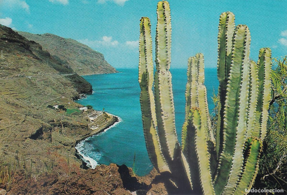 Postales: SANTA CRUZ DE TENERIFE PUNTA DE LOS ORGANOS ANAGA