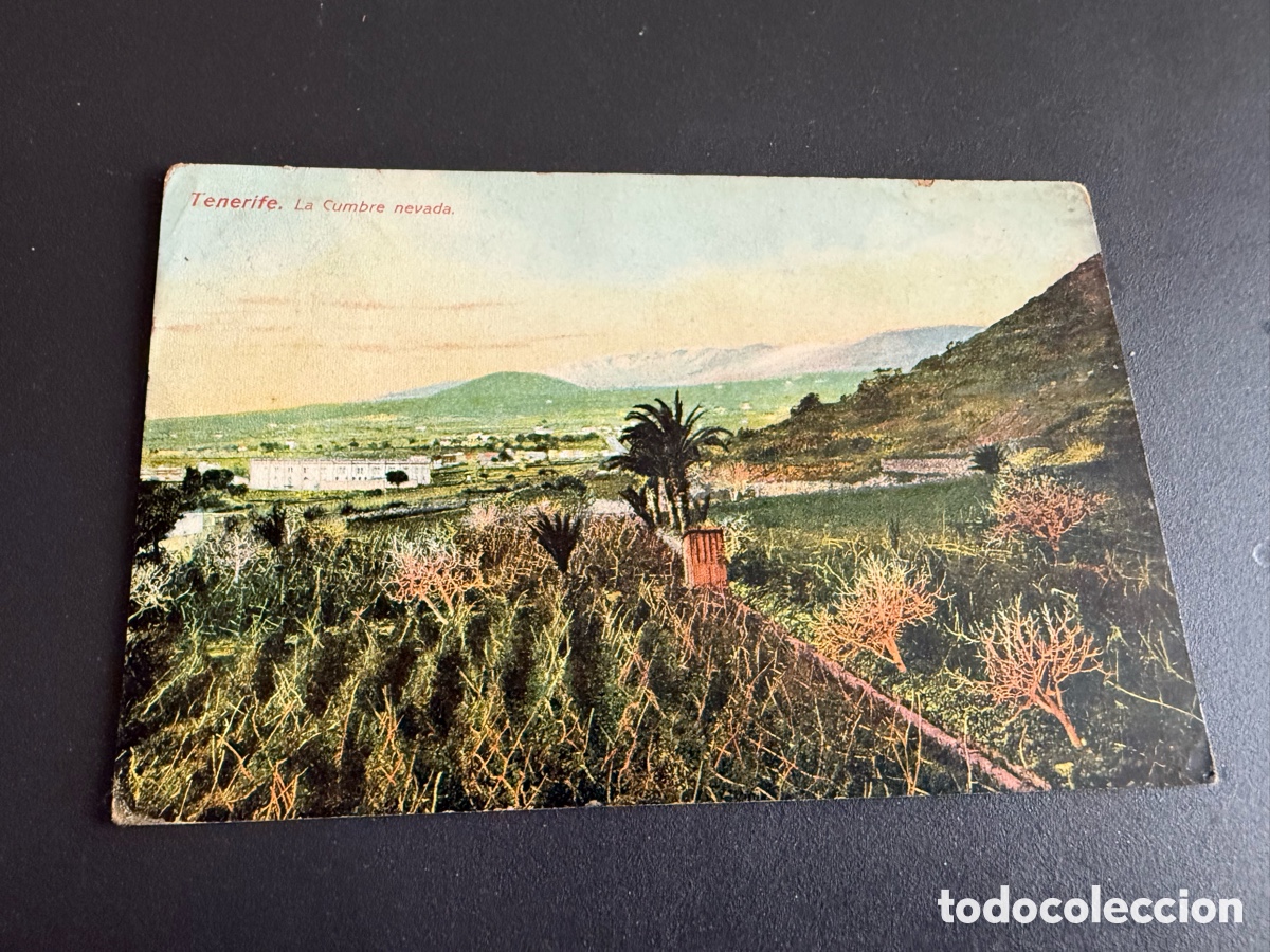 Postales: Postal. TENERIFE. LA CUMBRE NEVADA Coloreada