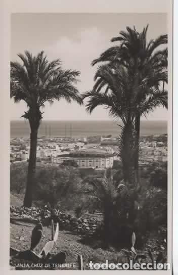 Postales: TENERIFE ALREDEDORES SIN ESCRIBIR
