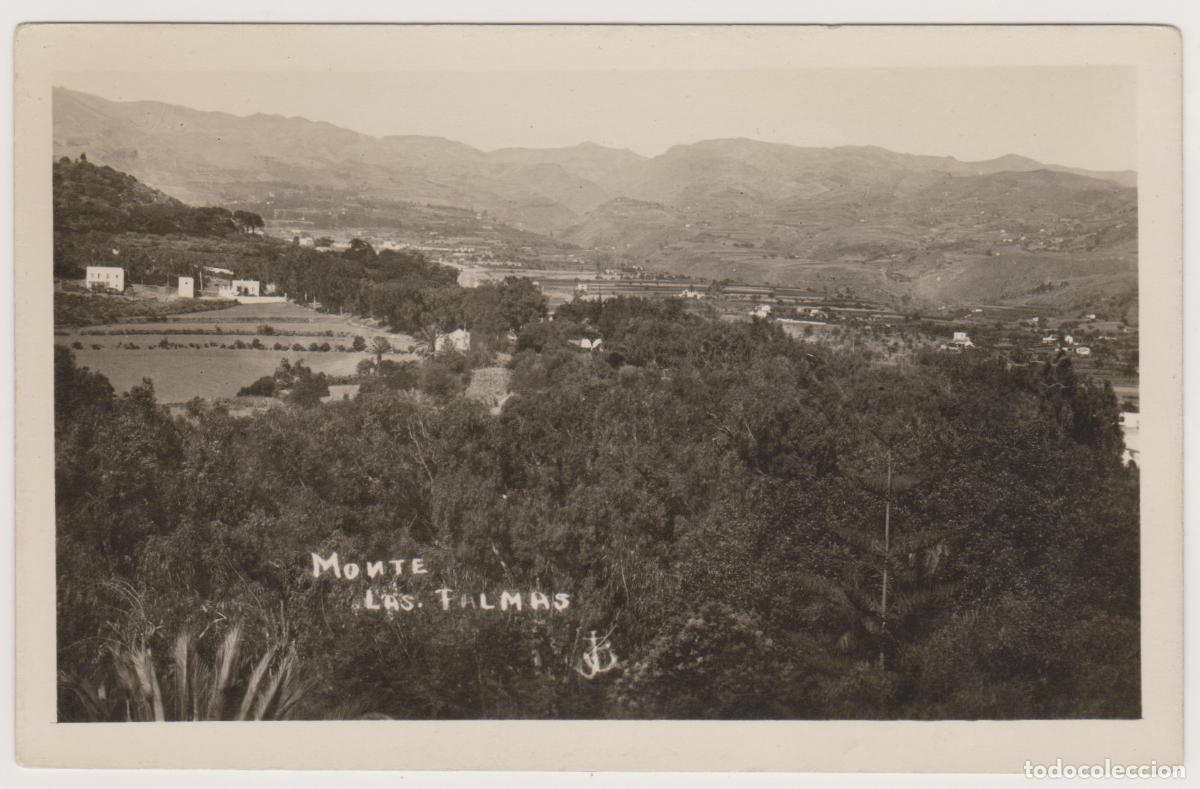 Postales: TARJETA POSTAL - MONTE LAS PALMAS