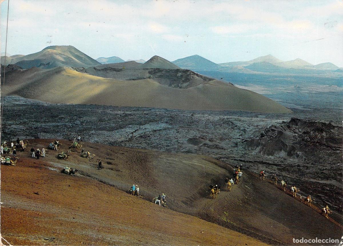 Postales: Postal de Lanzarote Monta&ntilde;a del Fuego Paisaje Lunar con Camellos