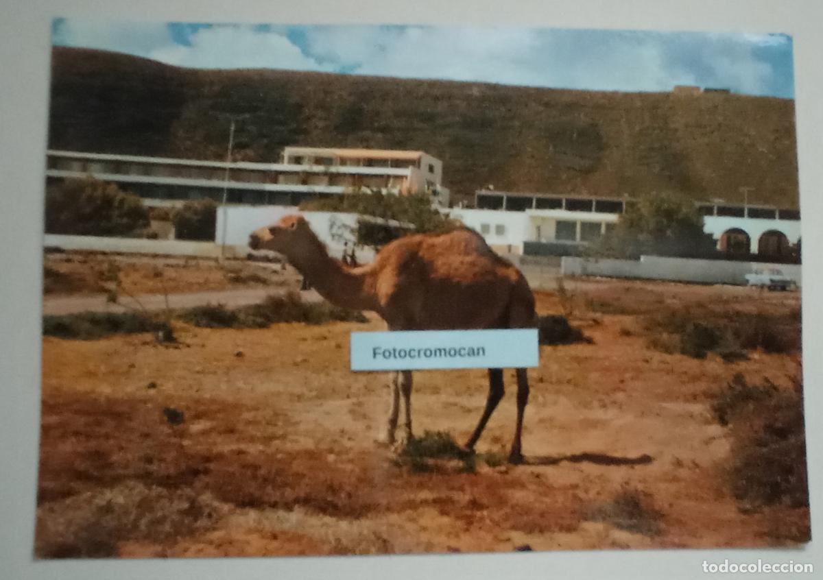 Postales: FUERTEVENTURA. VISTA DEL HOTEL ATL&Aacute;NTICO EN JANDIA. ED. SICILIA. N&ordm;3