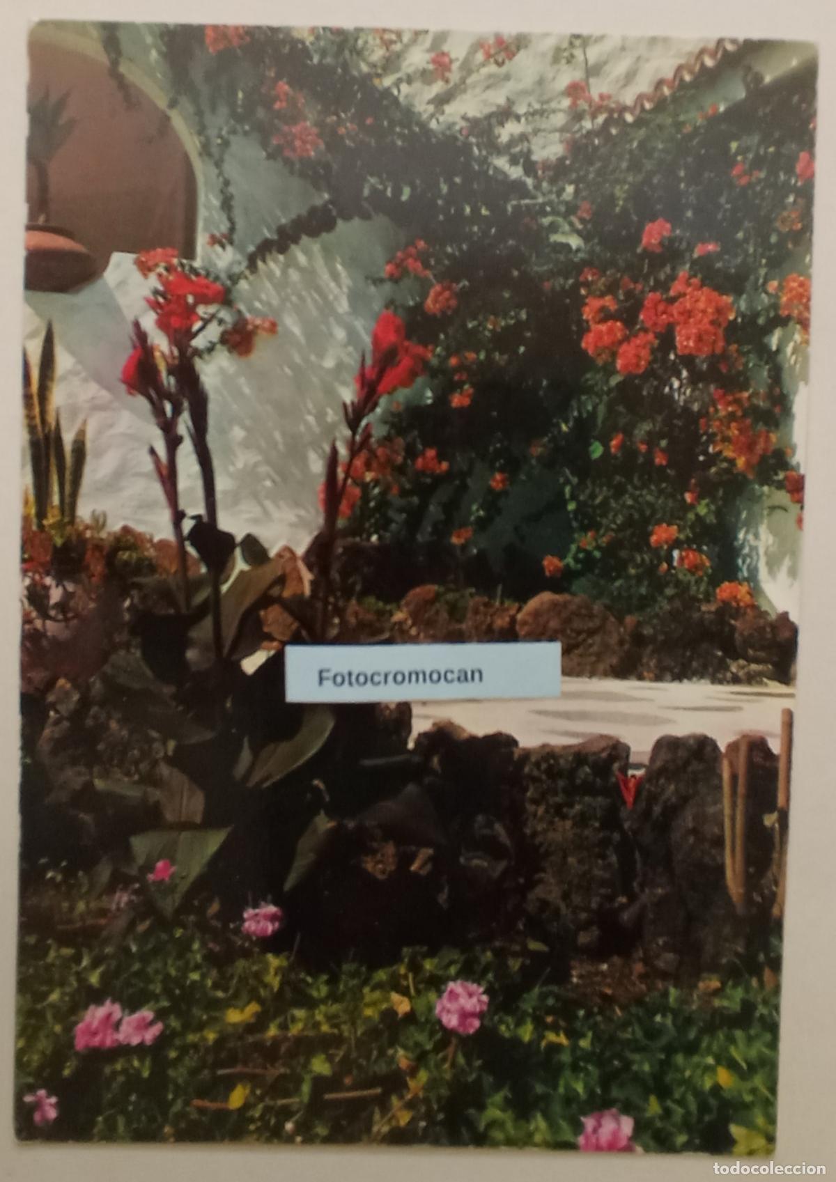 Postales: CANARIAS. RINC&Oacute;N T&Iacute;PICO. ED. BERGAS. N&ordm;107
