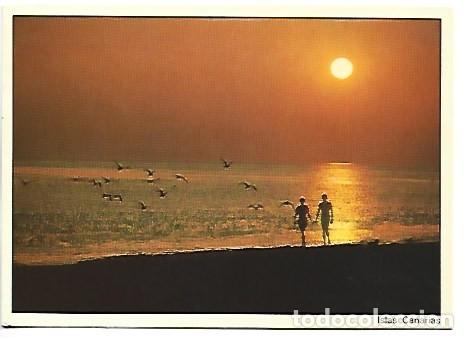Postales: ATARDECER - SUNSET.- ISLAS CANARIAS