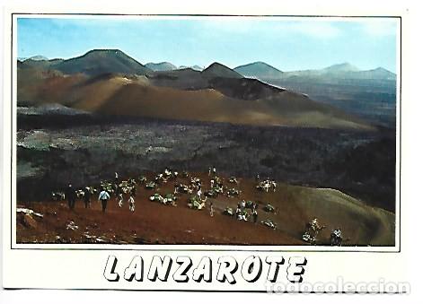 Postales: MONTA&Ntilde;A DE FUEGO - CARAVANA DE CAMELLOS.- LANZAROTE / ISLAS CANARIAS