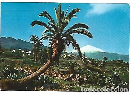 Postales: EL TEIDE VISTO DESDE &rdquo; LA VICTORIA &rdquo;.- TENERIFE