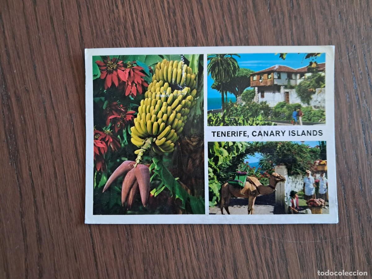 Postales: postal de Espa&ntilde;a, diferentes vistas de Tenerife, escrita, a&ntilde;o 1993.