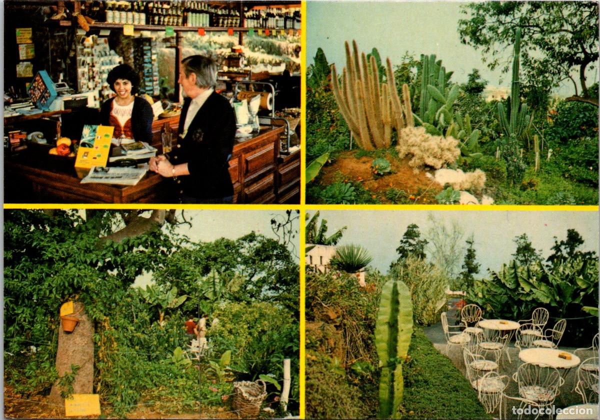 Postales: La Orotava (Tenerife) - Bananera El Guanche - Lit. A. Romero - 150x105mm - In&eacute;dita en Todocolecci&oacute;n