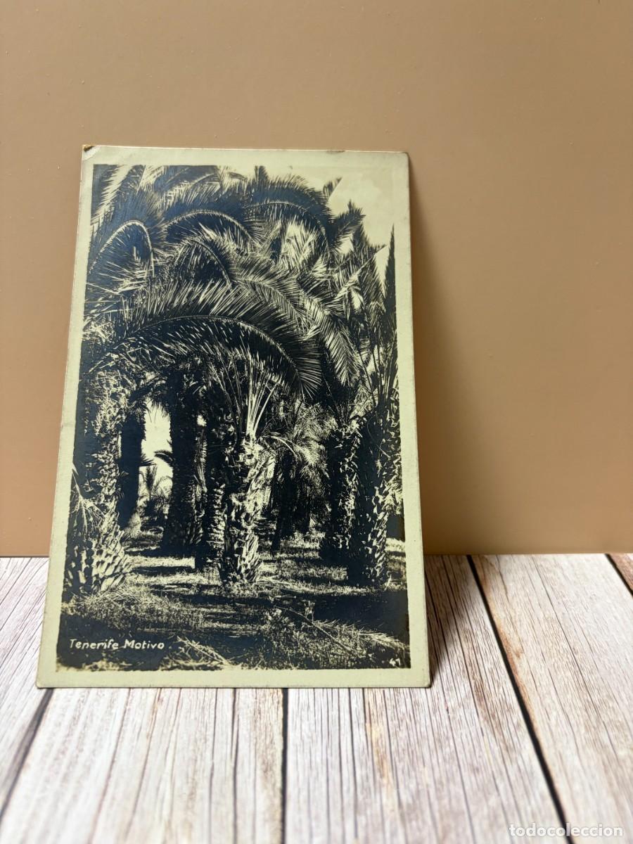 Postales: TARJETA POSTAL. TENERIFE. FOTO CENTRAL OTTO AUER.