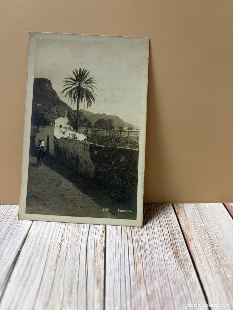 Postales: TARJETA POSTAL. TENERIFE. 232. FOTO CENTRAL