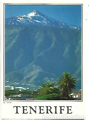 Postcards: VISTA DEL TEIDE.- TENERIFE