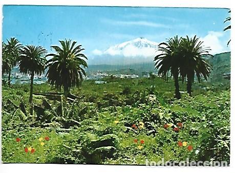 Postales: TEIDE EN ICOD / TEIDE WITH ICOD.- TENERIFE