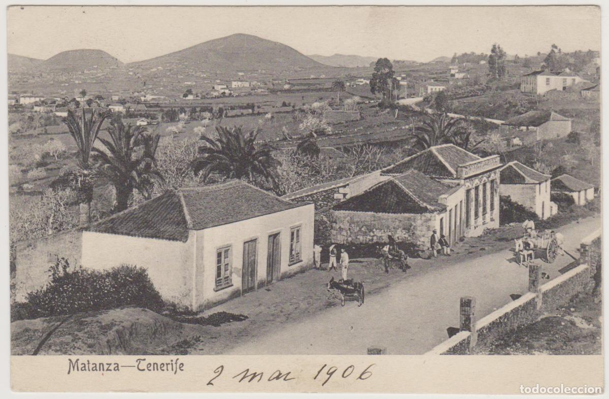 Postales: TARJETA POSTAL - TENERIFE - MATANZA - NOBREGA'S ENGLISH BAZAR