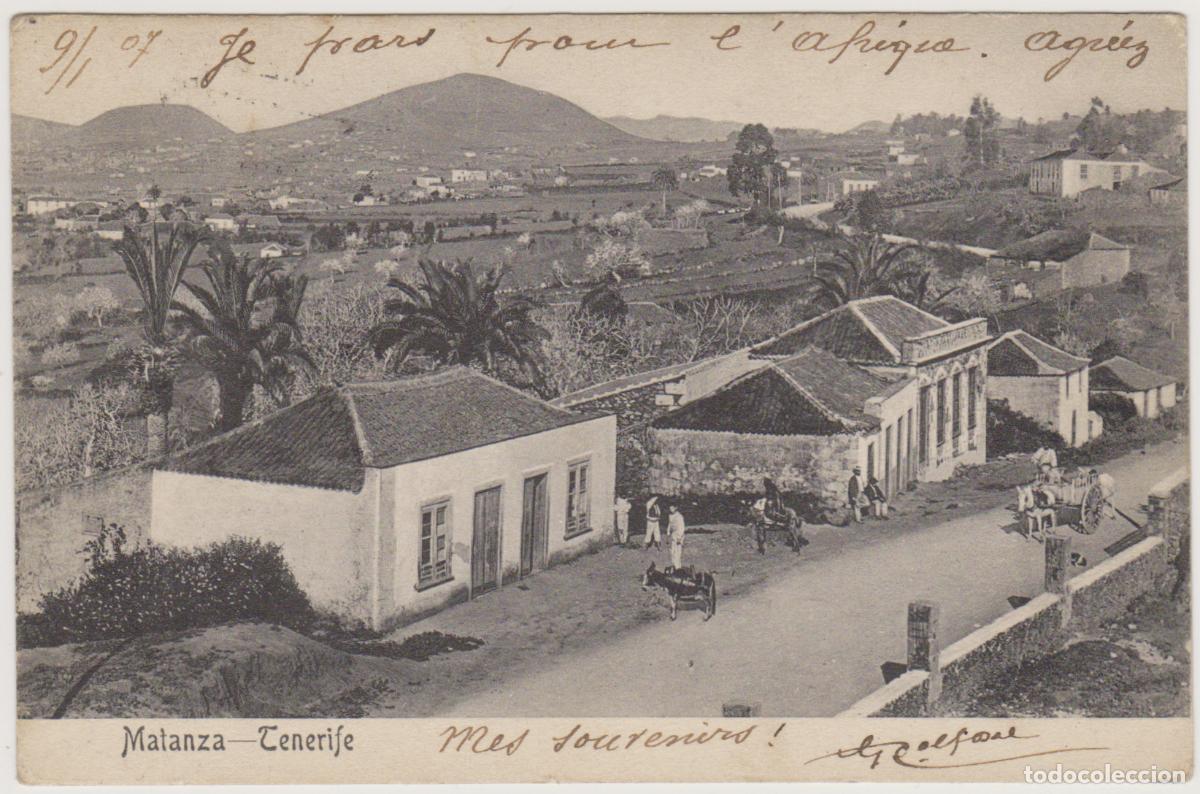 Postales: TARJETA POSTAL - TENERIFE - MATANZA - NOBREGA'S ENGLISH BAZAR