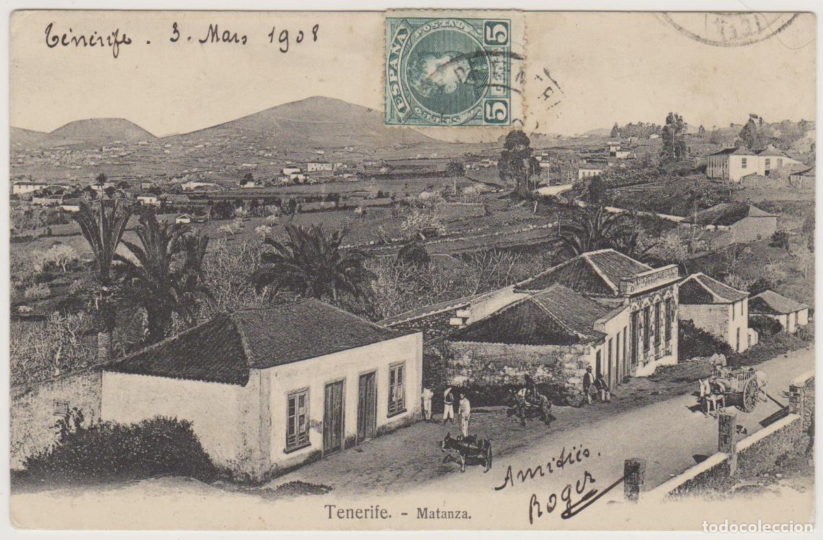Postales: TARJETA POSTAL - TENERIFE - MATANZA - NOBREGA'S ENGLISH BAZAR