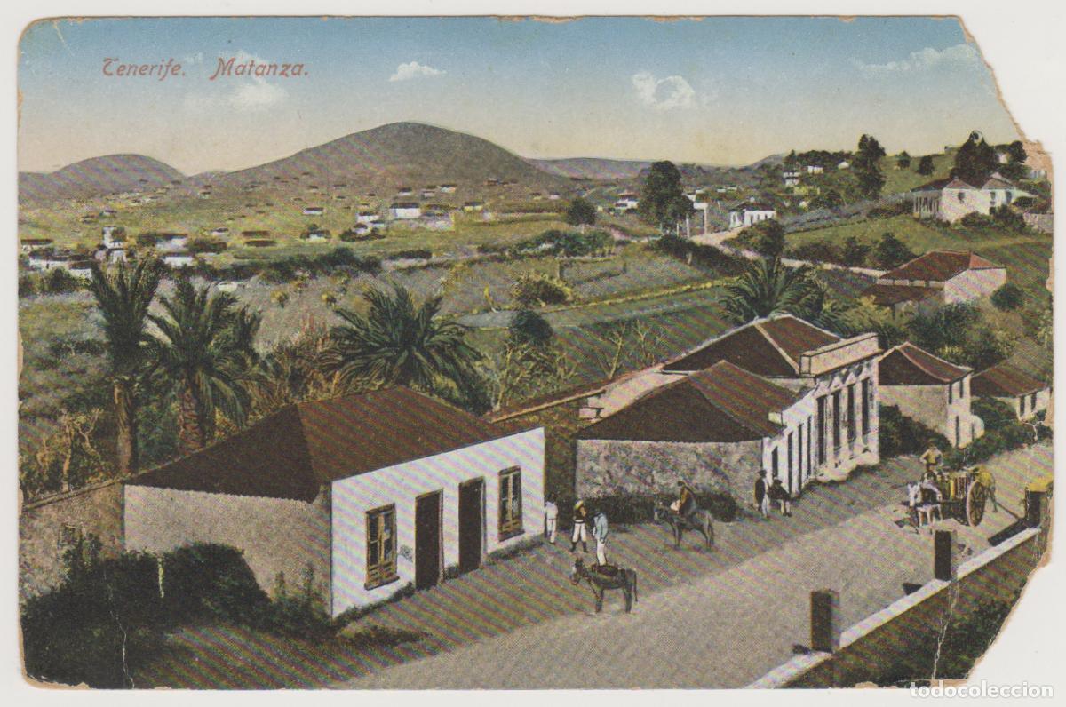 Postales: TARJETA POSTAL - TENERIFE - MATANZA - NOBREGA'S ENGLISH BAZAR