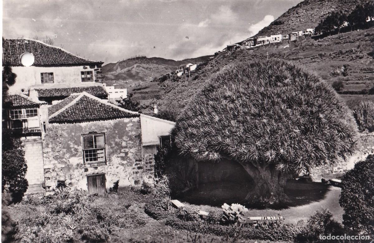 Postales: Tenerife 138 La Laguna. Casa t&iacute;pica. Foto Puertaferrisa. Escrita Sin circular.