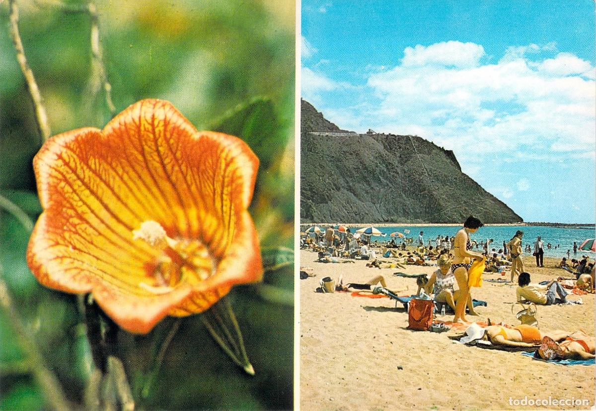 Postales: Postal Playa de Las Teresitas y Flor Bic&aacute;caro, Santa Cruz de Tenerife