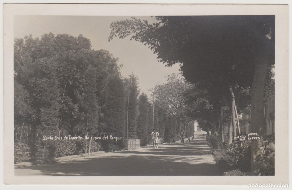 Postales: TARJETA POSTAL - SANTA CRUZ DE TENERIFE - UN PASEO DEL PARQUE - N&ordm; 29 - POSTAL EXPRES