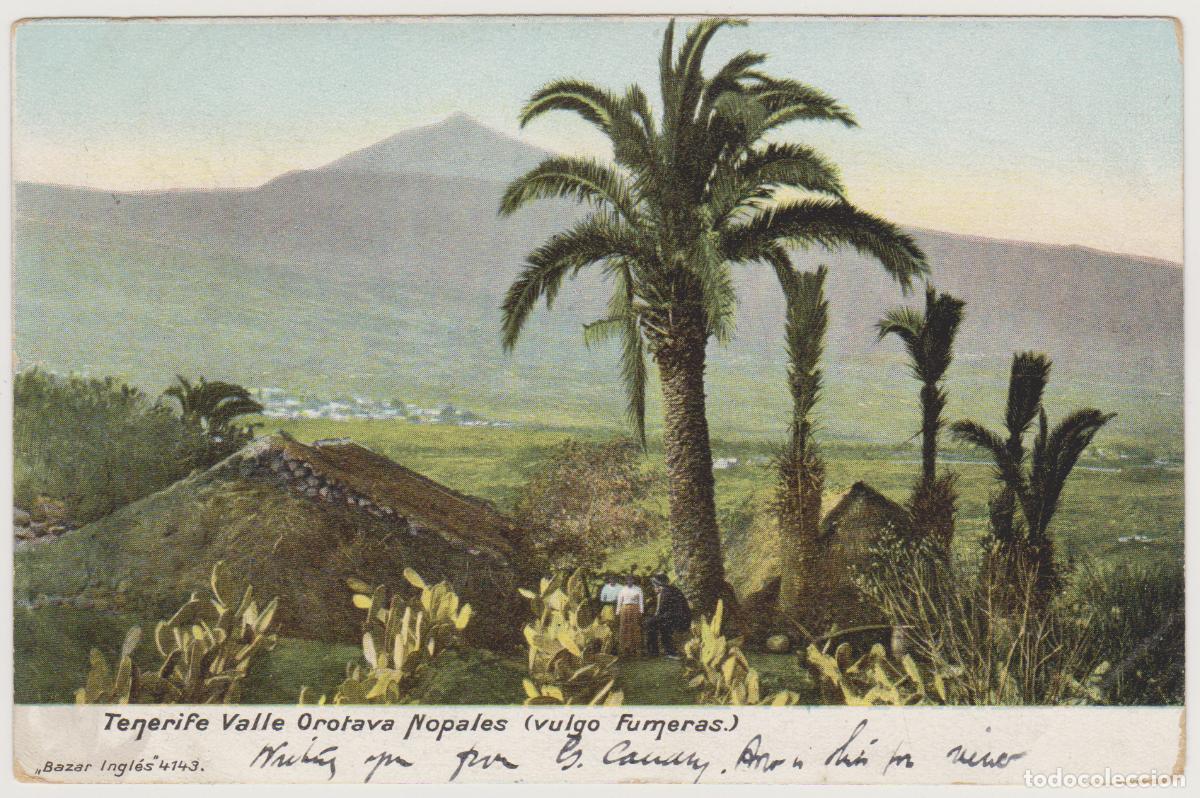 Postales: TARJETA POSTAL - TENERIFE - VALLE OROTAVA - NOPALES (vulgo Fumeras) - BAZAR INGLES