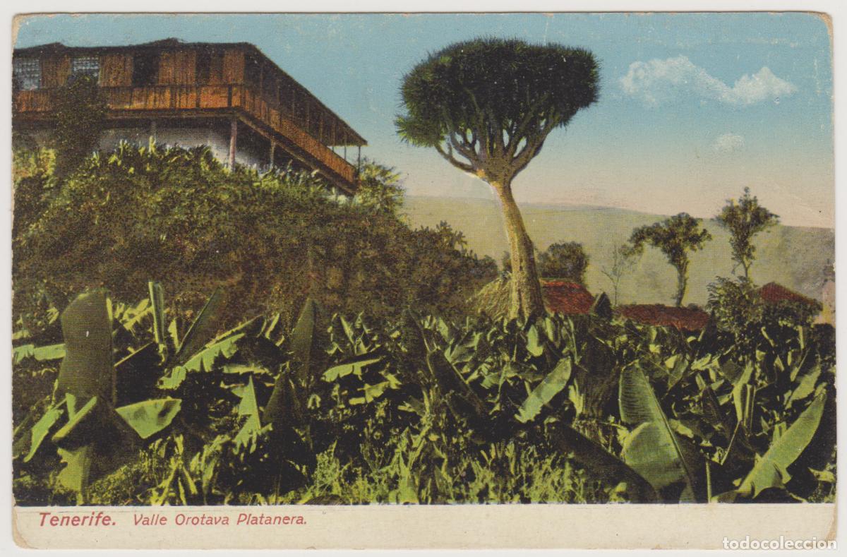 Postales: TARJETA POSTAL - TENERIFE - VALLE OROTAVA - PLATANERA - NOBREGA'S ENGLISH BAZAR